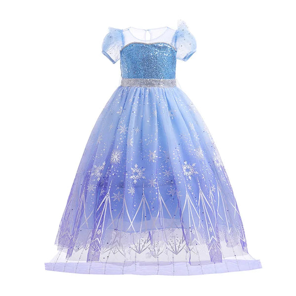 Elsa Princess Wig/Dress/Accessories