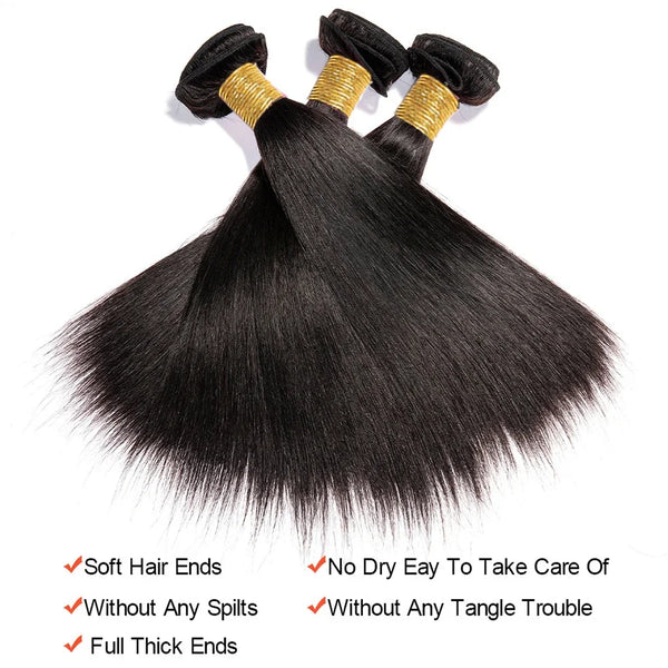 BAHW Malaysian 100% Raw Human Hair Bundles