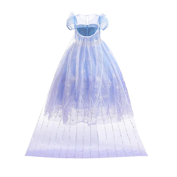 Elsa Princess Wig/Dress/Accessories